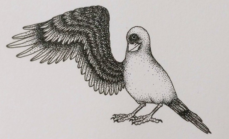 You are currently viewing ‘जियान’: एक पखेटा र एक आँखा भएको चिनियाँ पौराणिक पक्षी